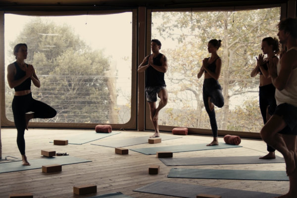 Yoga and wellness retreat in North Devon at Tors Park, featuring expert-led classes in a scenic heated studio.